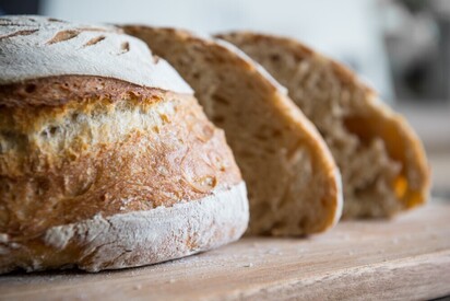 brood