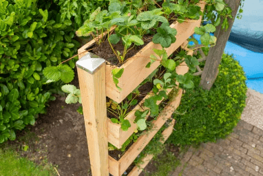 tuin